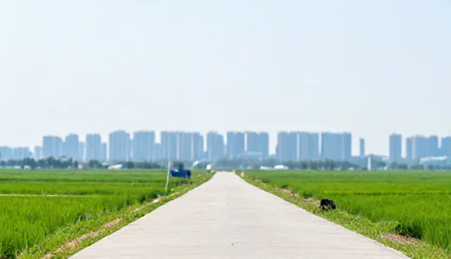 昆明一对一汽车陪驾有限公司
